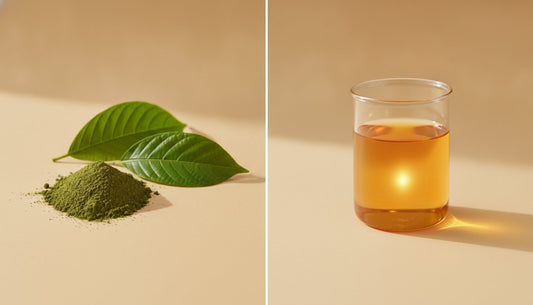 7-OH vs. Mitragynine: The Definitive Guide to Kratom Extract 7-OH (2026)