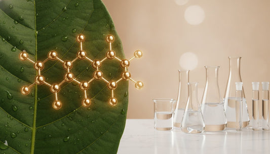 Advanced Kratom Alkaloids: The Science of 7-OH and Botanical Precision