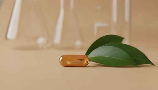 OPMS Gold Capsules: The Definitive Guide to Potency, Purity, and Performance (2026)