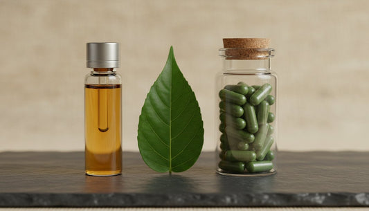 Krave Kratom vs OPMS Gold: The Definitive Extract Comparison (2026)
